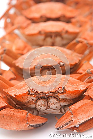 Boiled crabs Stock Photo