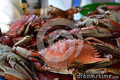 Boiled Crabs Stock Photo