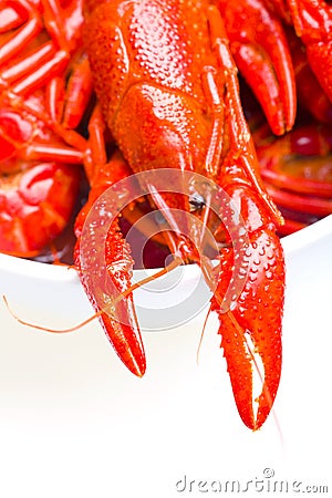 Boiled crayfish Stock Photo