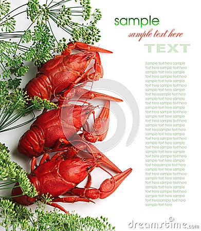 Boiled crayfish with dill Stock Photo