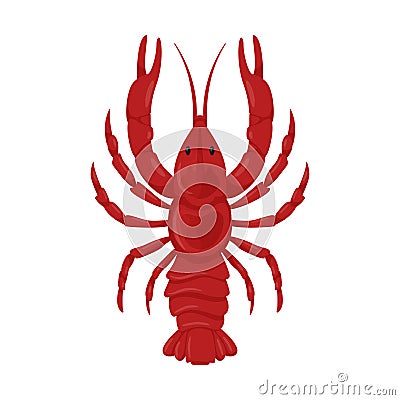 Boiled fresh red river crayfish with pincers. A crustacean animal. Food ingredient, delicacy. Flat cartoon vector illustration Vector Illustration