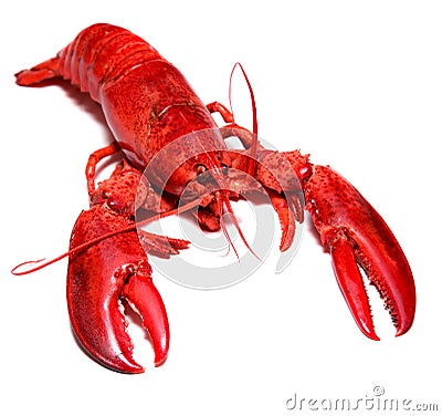 Boiled lobster Stock Photo
