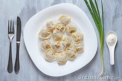 Boiled meat dumplings served with sour cream and chives. Stock Photo