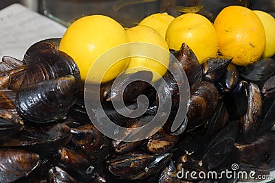 Boiled mussels. Tasty seafood meal ideal for lunch or dinner, appetizer for brunch or buffet Stock Photo