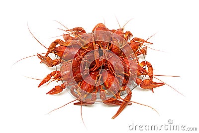 Boiled river crayfish on a plate on a white background. Stock Photo
