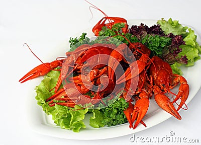 Boiled river lobsters Stock Photo