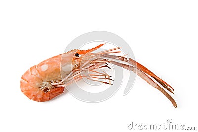 Boiled river shrimp Stock Photo