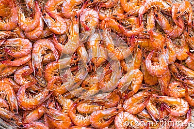 Boiled Shrimp Stock Photo