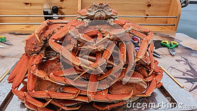 Boiled snow crabs are piled up on a tray. Stock Photo