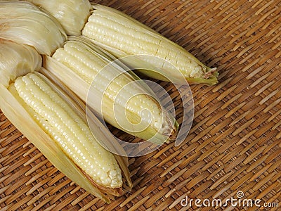 boiled waxy corn Stock Photo