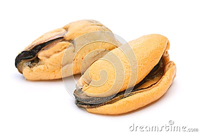 Boiled yellow mussel Stock Photo