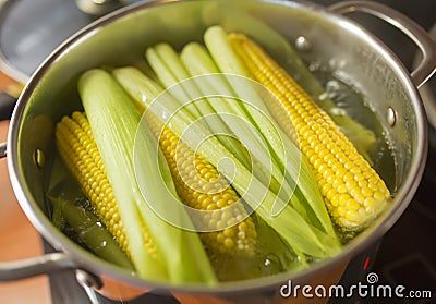 Boiling sweet corn in pot Stock Photo
