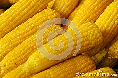 Boiling Sweet Corn, simple summer tasty snack in India Stock Photo