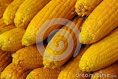 Boiling Sweet Corn, simple summer tasty snack in India Stock Photo