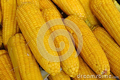 Boiling Sweet Corn, simple summer tasty snack in India Stock Photo