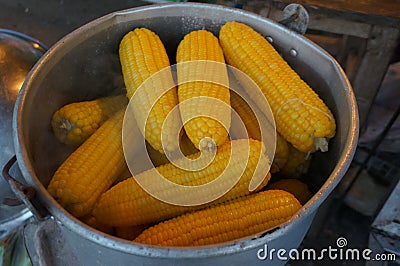 Boiling sweet corn Stock Photo