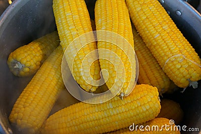 Boiling sweet corn Stock Photo