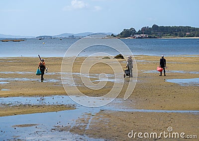 Two shellfish gatherers and a shellfish woman stand with their backs facing the sea in the sand to extract mussels and clams. Editorial Stock Photo