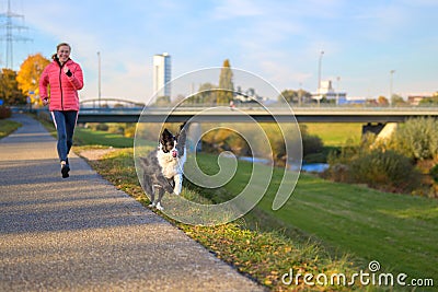 Boisterous Border Collie dog galloping along footpath at sunset Stock Photo