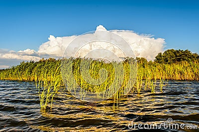 Bojana River in Montenegro Stock Photo