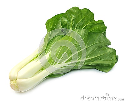 Bok Choy Stock Photo