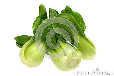 Pok Choi Stock Photo