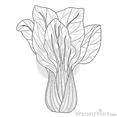 Bok choy cabbage.Coloring book antistress for children and adults. Vector Illustration