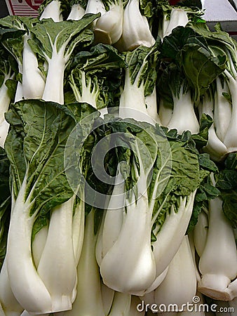 Bok Choy Greens Stock Photo