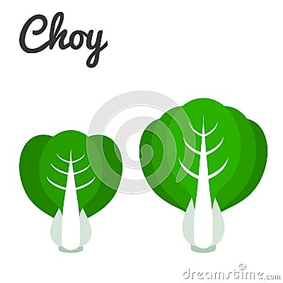 Bok choy icon Vector Illustration