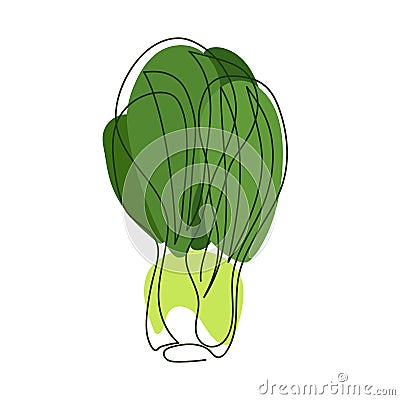 Bok choy, pak choy, kale, mustard or celery Vector Illustration