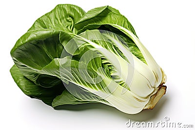 Bok choy photo realistic illustration - Generative AI. Cartoon Illustration