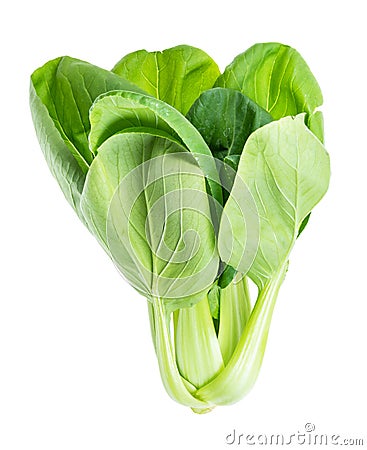 Bok choy pok choi, pak choi Chinese leaf cabbage Stock Photo