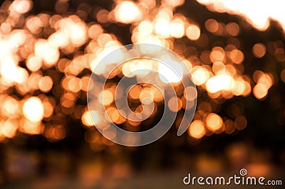 Bokeh against the background of trees. Sunlight makes its way through the trees against the side of the bokeh. Stock Photo