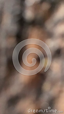 Bokeh image, abstract texture of objects made by incident light. Stock Photo