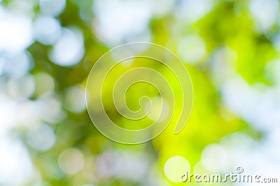 Bokeh lights from nature use as background Stock Photo