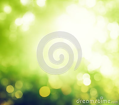 Bokeh in morning forest Stock Photo