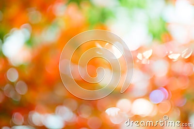 Bokeo from beatiful light in morning. Blur background Stock Photo