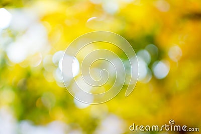 Bokeo from beatiful light in morning.Blur background Stock Photo