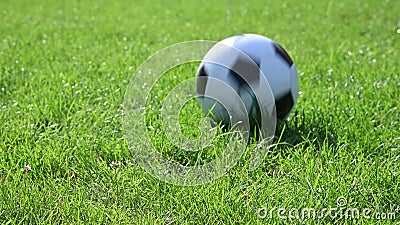 Jogador de futebol colocando a bola na grama ângulo baixo do jogador de  futebol colocando a bola na grama em cobrança de falta