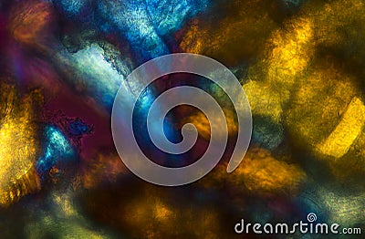 Bold, colorful abstract micrograph of bumble bee muscle and cara Stock Photo