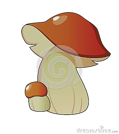 Bolete Mushrooms Stock Photo