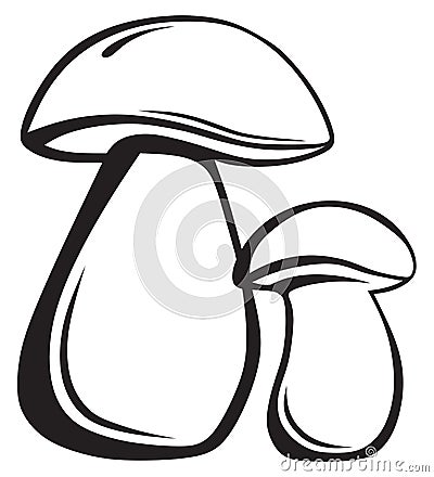 Boletus Edulis Vector Illustration