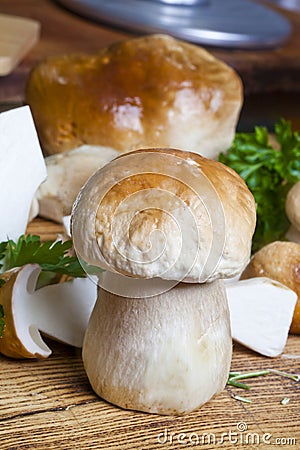 Boletus mushrooms Stock Photo