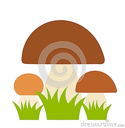 Boletus mushrooms Vector Illustration