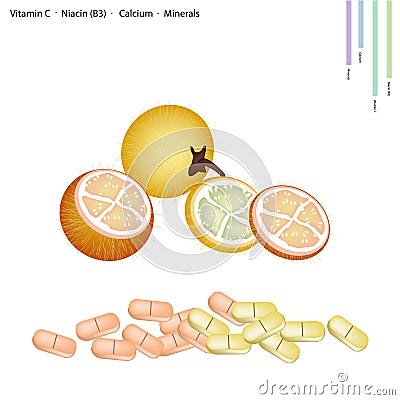 Bolo Maka Fruits with Vitamin C, B3 and Calcium Vector Illustration