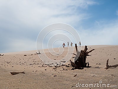 Death trunk on the desert. People in the background.Arid hot scene with dunes and sand at Bolonia Beach in Tarifa Editorial Stock Photo