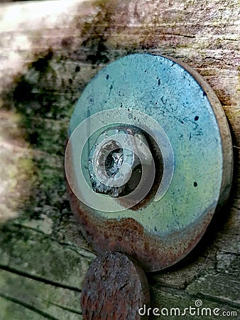 Bolt in the wood Stock Photo