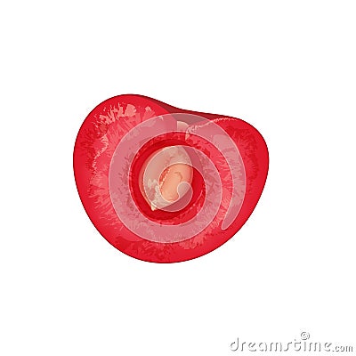 Juicy cherry,bone of a berry Stock Photo