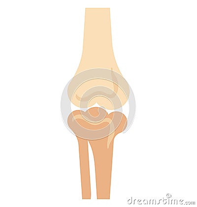 bone joints, Isolated Vector icon that can be easily modified or edit Vector Illustration