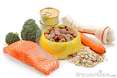 Dry dog food Stock Photo